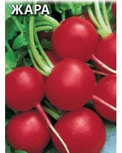 Редис Жара 3,0 г серия Традиция