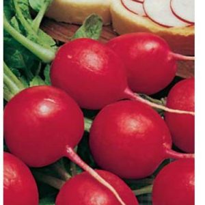 Редис Софит 3,0 г