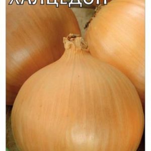 Лук репч. Халцедон 1,0 г