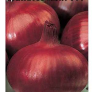 Лук репч. Даниловский 301 1,0 г