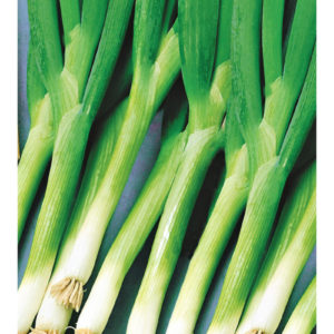 Лук батун Русский зимний 1,0 г сер. Огород без хлопот