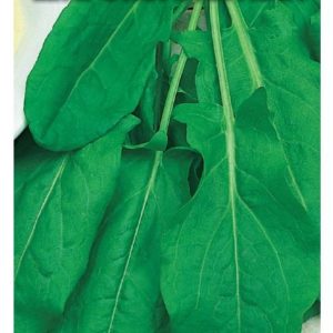 Щавель Широколистный 1,0 г сер. Традиция