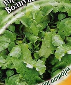 Горчица листовая Волнушка 1,0 г