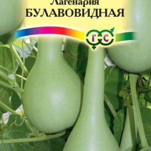 Лагенария Булавовидная 5 шт.