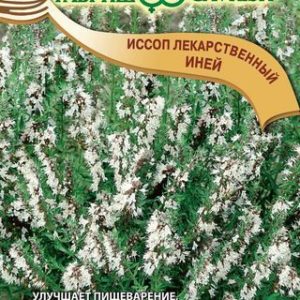 Иссоп Иней 0,2 г