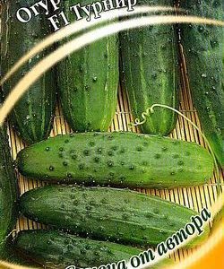 Огурец Турнир F1 10 шт.