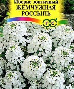 Иберис Жемчужная россыпь зонтичный 0,2 г серия Альпийская горка
