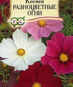 Космея Разноцветные огни 0,5 г