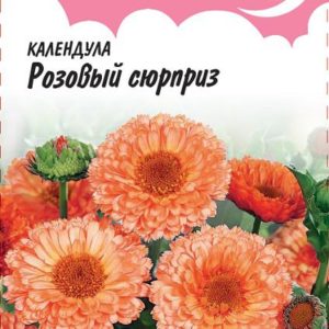 Календула Розовый сюрприз 0,5 г , серия Розовые сны