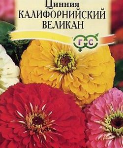 Цинния Калифорнийские великаны, смесь 0,3 г