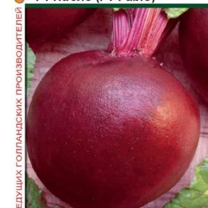 Свекла Пабло F1 1,0 г (Голландия)