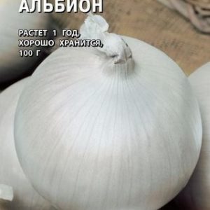 Лук репч. Альбион 0,2 г (Голландия)