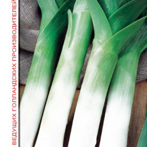 Лук порей Коламбус 0,2 г (Голландия)