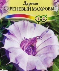 Дурман Сиреневый Махровый* 15 шт.