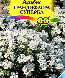 Арабис Грандифлора Суперба* 0,1 г сер. Альпийская горка