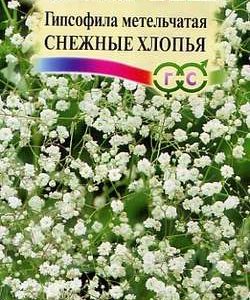 Гипсофила метельч., Снежные хлопья* 0,1 г
