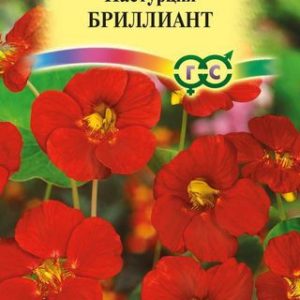 Настурция Бриллиант 7 шт.