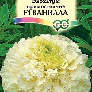 Бархатцы пр. Ванилла (Тагетес) 0,05г