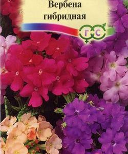 Вербена Романс*, гибридная смесь 0,1 г
