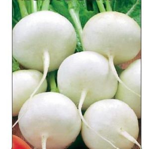 Редис Моховский 2,0 г