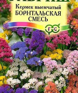 Лимониум Борнтальский , выемчатый смесь* 0,2 г