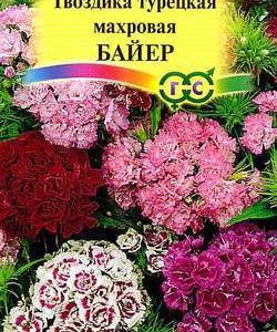Гвоздика турецкая махровая Байер, смесь 0,2 г