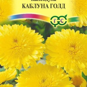 Календула Каблуна Голд 0,5 г DH
