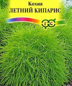 Кохия Летний кипарис (веничная)0,3 г