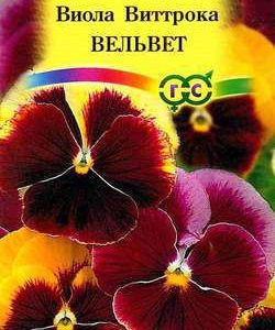 Виола Вельвет , Виттрока смесь (Анютины глазки)* 0,1 г