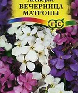 Хесперис Вечерница Матроны, смесь 0,3 г