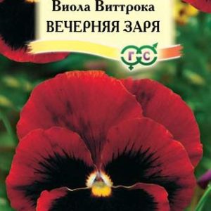 Виола Вечерняя заря , Виттрока (Анютины глазки)* 0,1 г