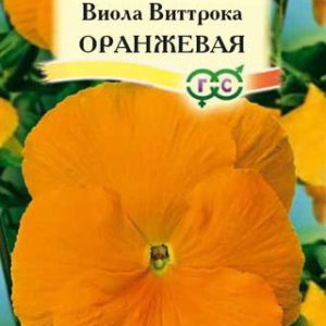 Виола Оранжевая , Виттрока (Анютины глазки)* 0,1 г