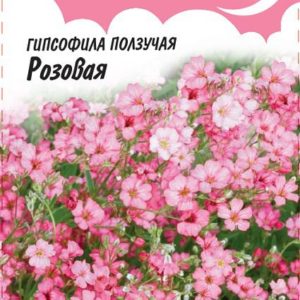 Гипсофила ползучая, Розовая* 0,1 г , серия Розовые сны