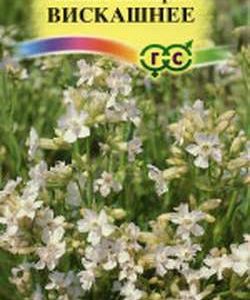 Лихнис Вискашнее* 0,1 г