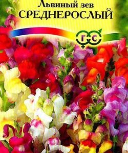 Львиный зев среднерослый*, смесь 0,1 г