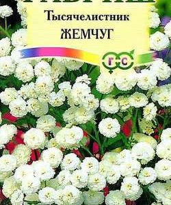 Тысячелистник Жемчуг белый* 0,1 г