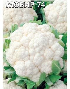 Капуста цветная Мовир 74 0,3 г сер. Традиция