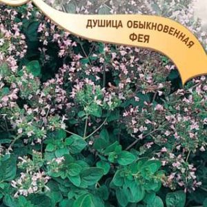 Душица Фея (орегано)* 0,1 г
