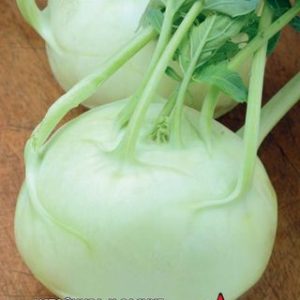 Капуста кольраби Гигант 0,2 г