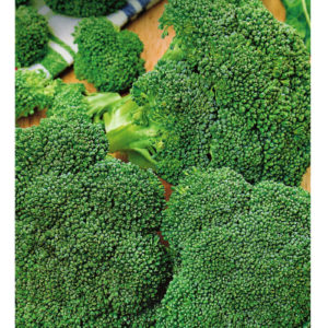 Капуста брокколи Тонус 0,5 г