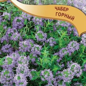 Чабер Горный 0,1 г