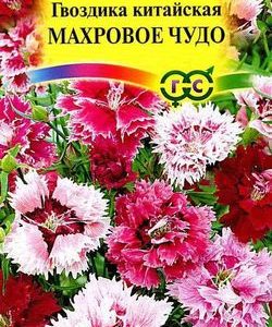 Гвоздика китайская махровая*, смесь 0,1 г