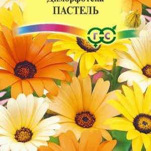 Диморфотека Пастель, смесь 0,2 г DH