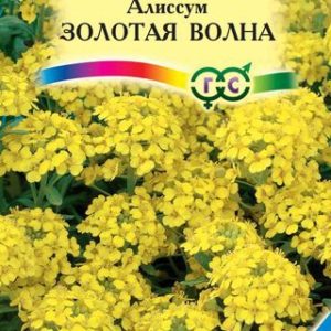 Алиссум скальный Золотая волна* 0,1 г сер. Альпийская горка