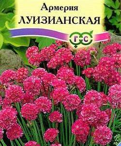 Армерия Луизианская 0,05 г сер. Альпийская горка