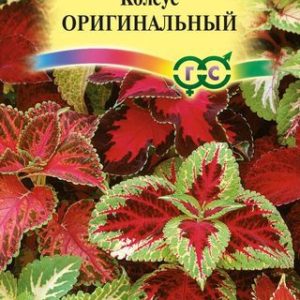Колеус Оригинальный, смесь* 0,05 г