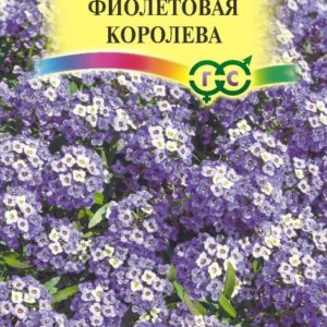 Лобулярия Фиолетовая королева* 0,2 г серия Сад ароматов DH