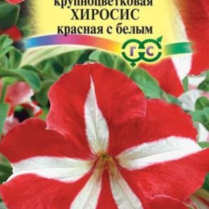 Петуния Хиросис красная с белым крупноцв. * 20 шт.