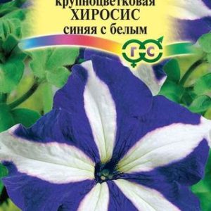Петуния Хиросис синяя с белым крупноцв.* 20 шт.