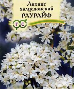 Лихнис халцедонский Раурайф* 0,1 г
